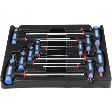 Набор ключей Т-образных шестигранных H2 - H12 с пластиковой рукояткой в ложементе, 10 пр. Licota ACK-382002