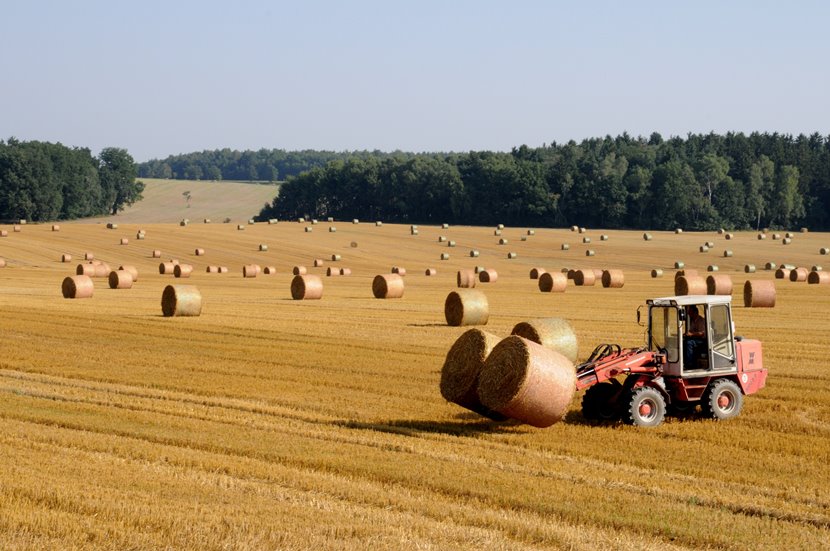 Роль сельского хозяйства в экономике