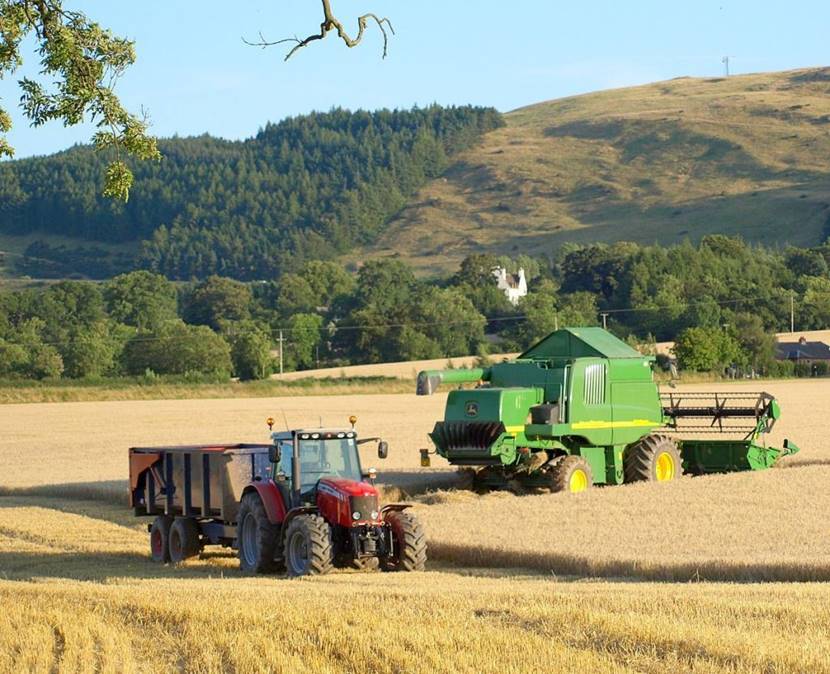 Как скоро окупятся расходы на фермерское хозяйство?