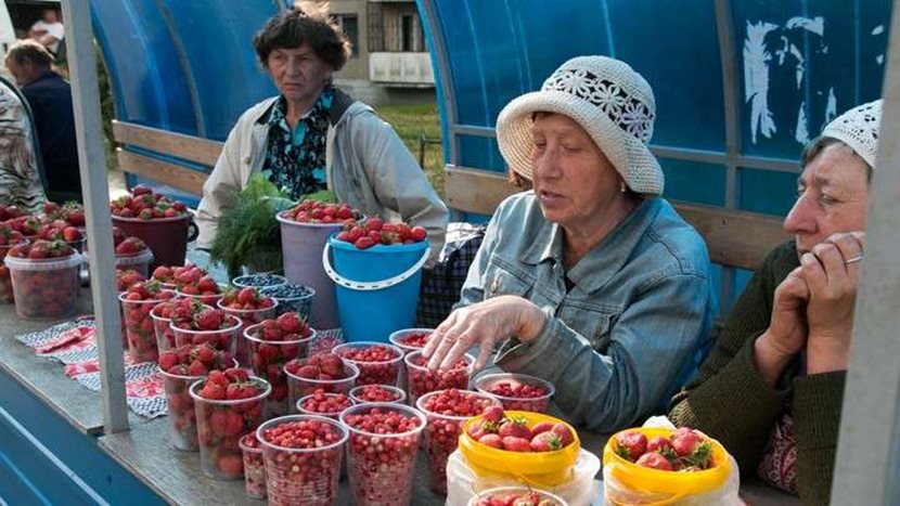 Место торговли. Бабка на рынке. Бабуся на рынке. Бабушка с клубникой на рынке. Бабки на рынке.