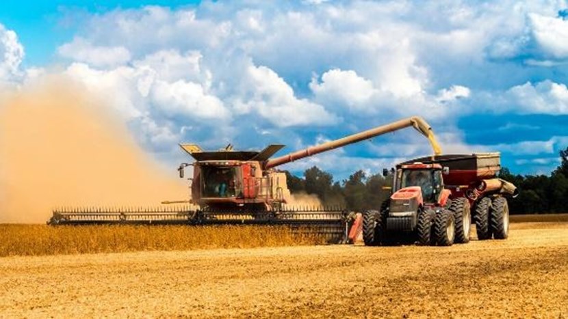 Прогноз урожая зерна в России