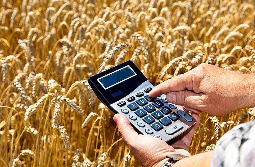 Как рассчитать единый сельскохозяйственный налог